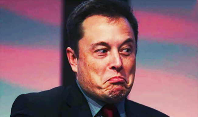 Foto: Instagram elonmuskinfluencer